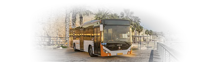 nateev bus - akko