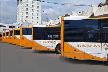 info page background